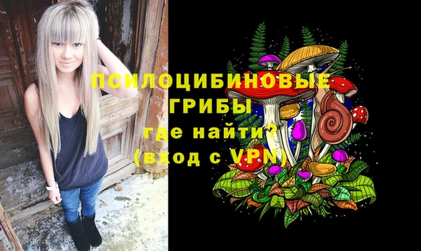 скорость Арсеньев