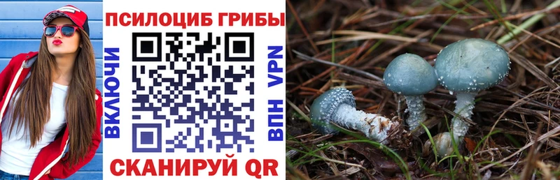 Галлюциногенные грибы Cubensis  Стародуб 